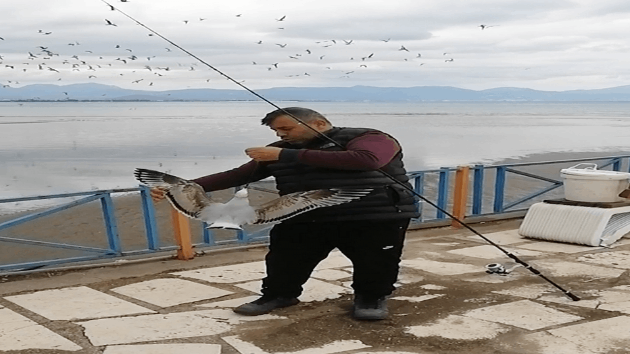 martı ve Selçuk Çele