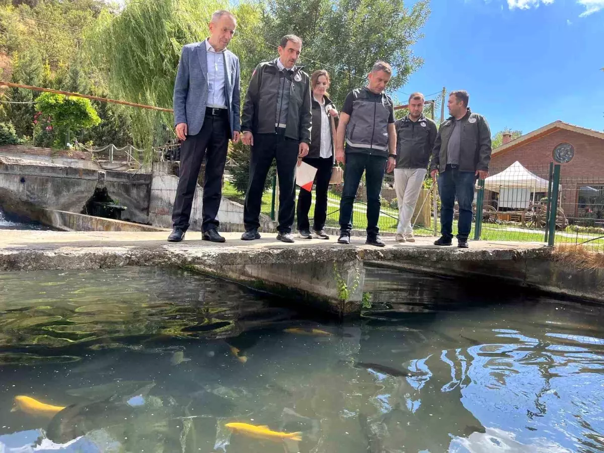 Bilecik’te Alabalık Tesisleri İncelendi