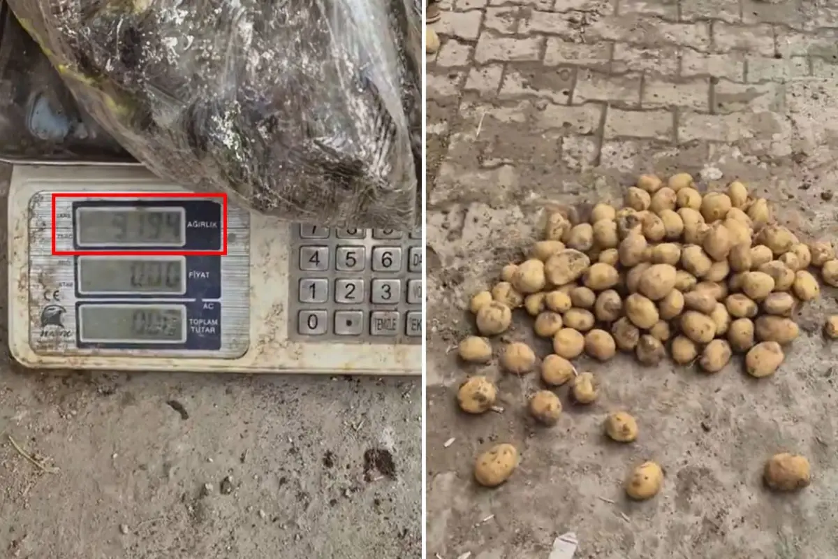 Ahlaksızlıkta son nokta: 22 kiloluk çuvaldan 13 kilo patates çıktı