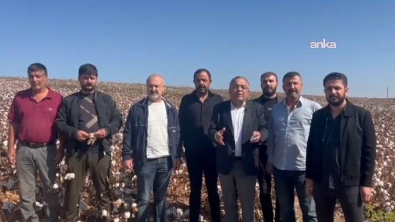 CHP’li Tanrıkulu: Bu yıl da destek verilmezse bölgede pamuk üretimi neredeyse sıfıra düşecek!
