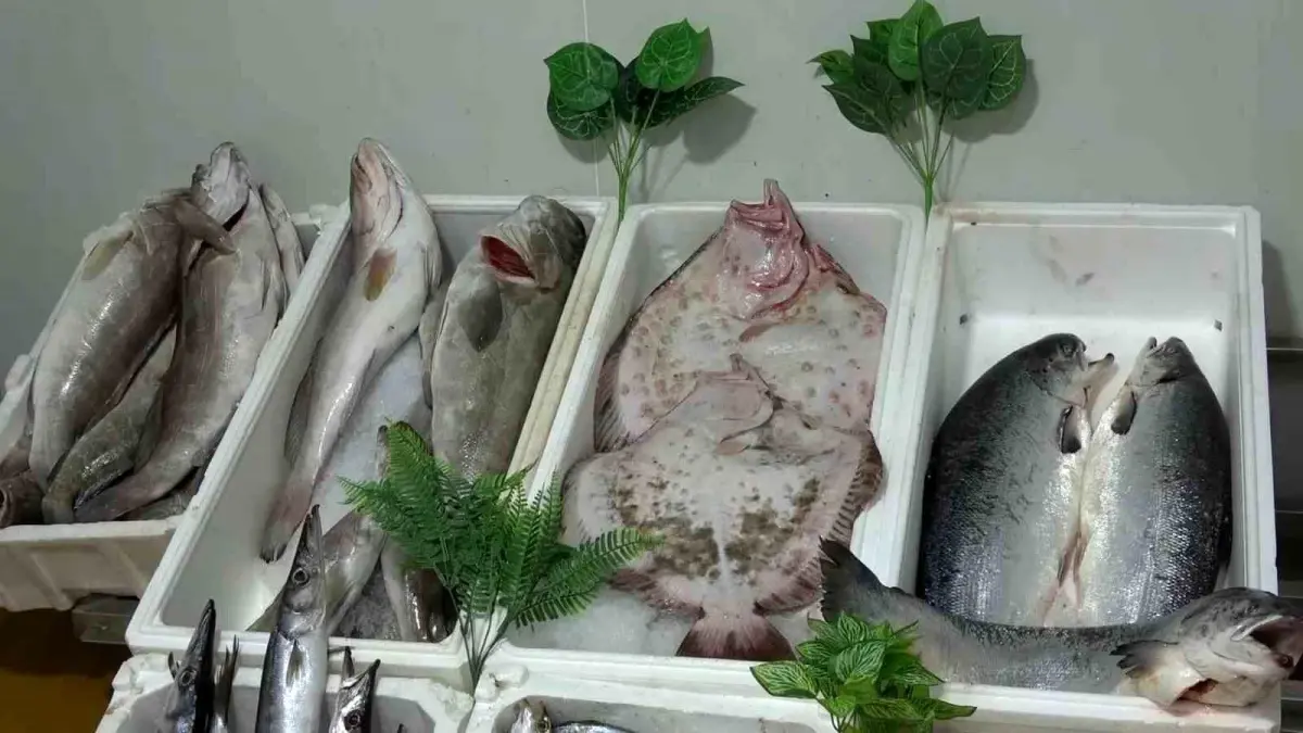 Gaziantep’te Balık Tüketimi Zirve Yapıyor