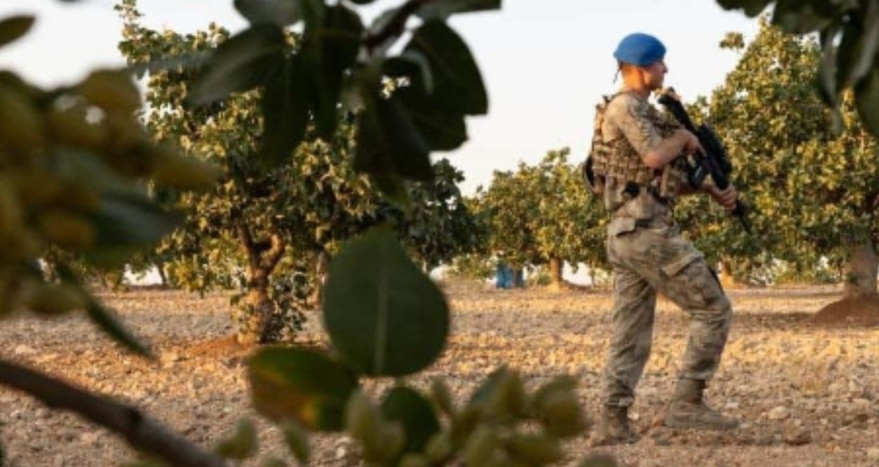 3 kilosuna daire satın alınıyor: Askerler tarlanın başında gece gündüz nöbete başladı