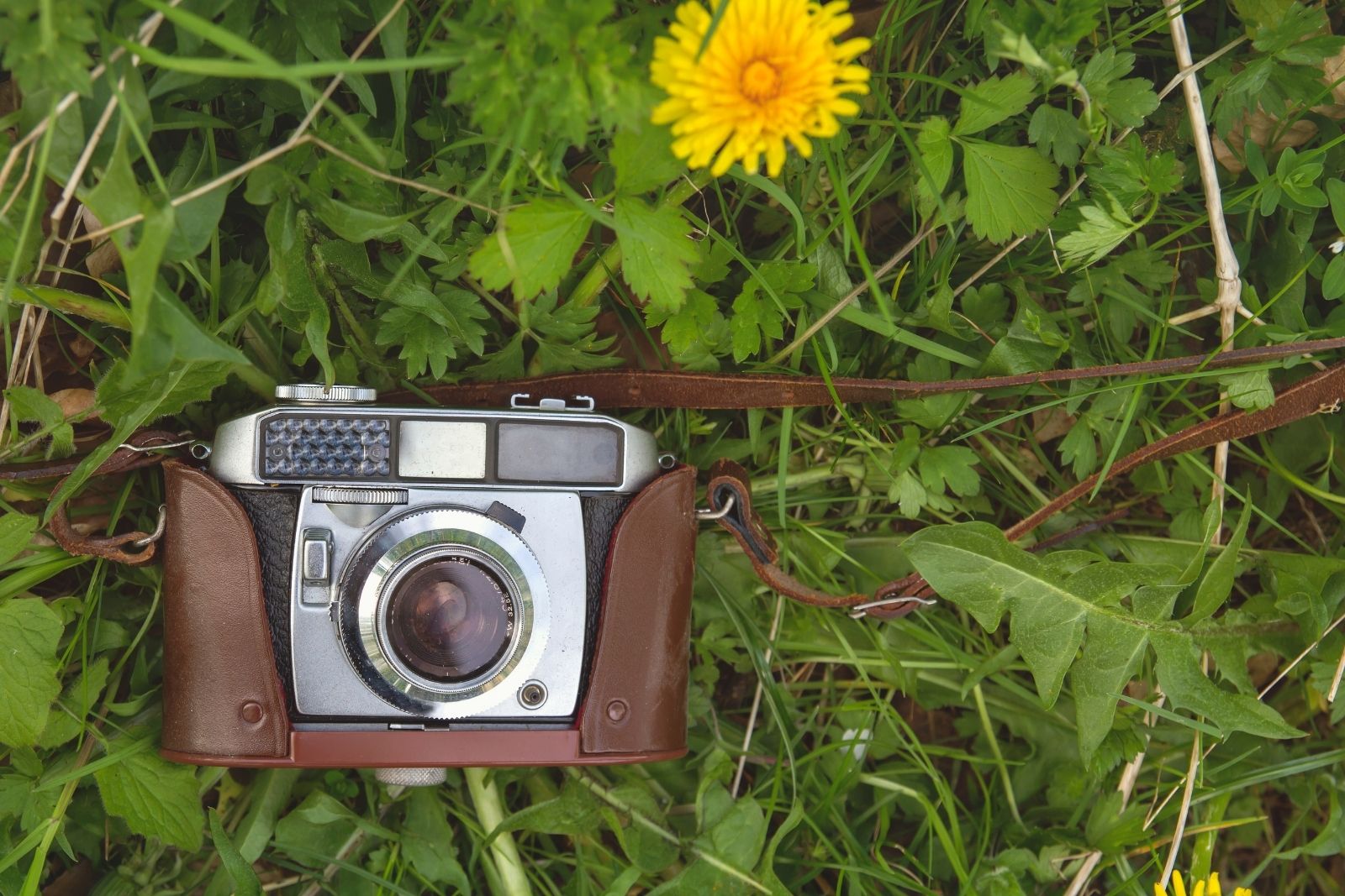 AA’nın düzenlediği İstanbul Photo Awards 2026 başvuruları başladı