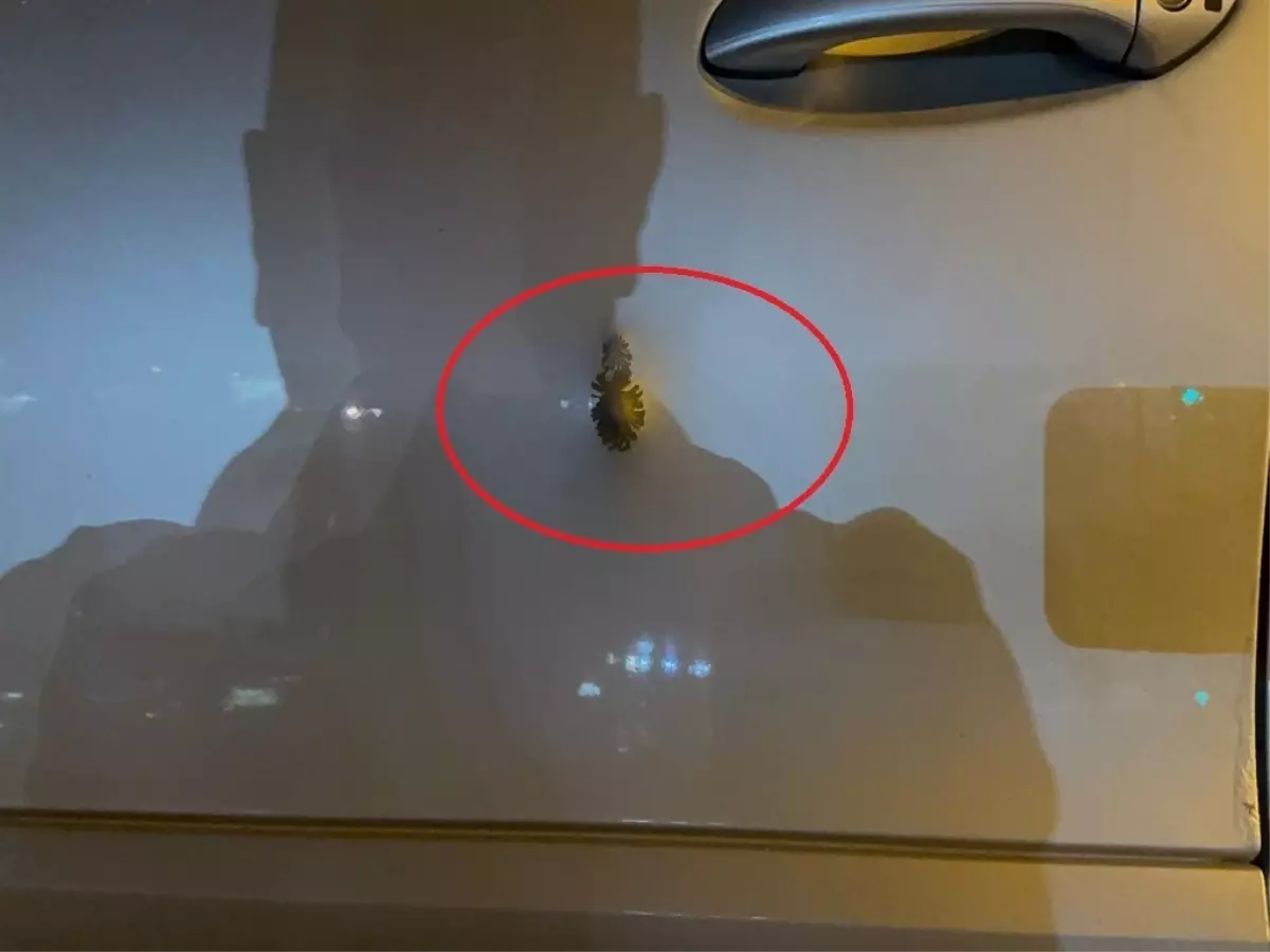 Diyarbakır’da Silahlı Saldırı: Tutuklu Sayısı 9’a Yükseldi