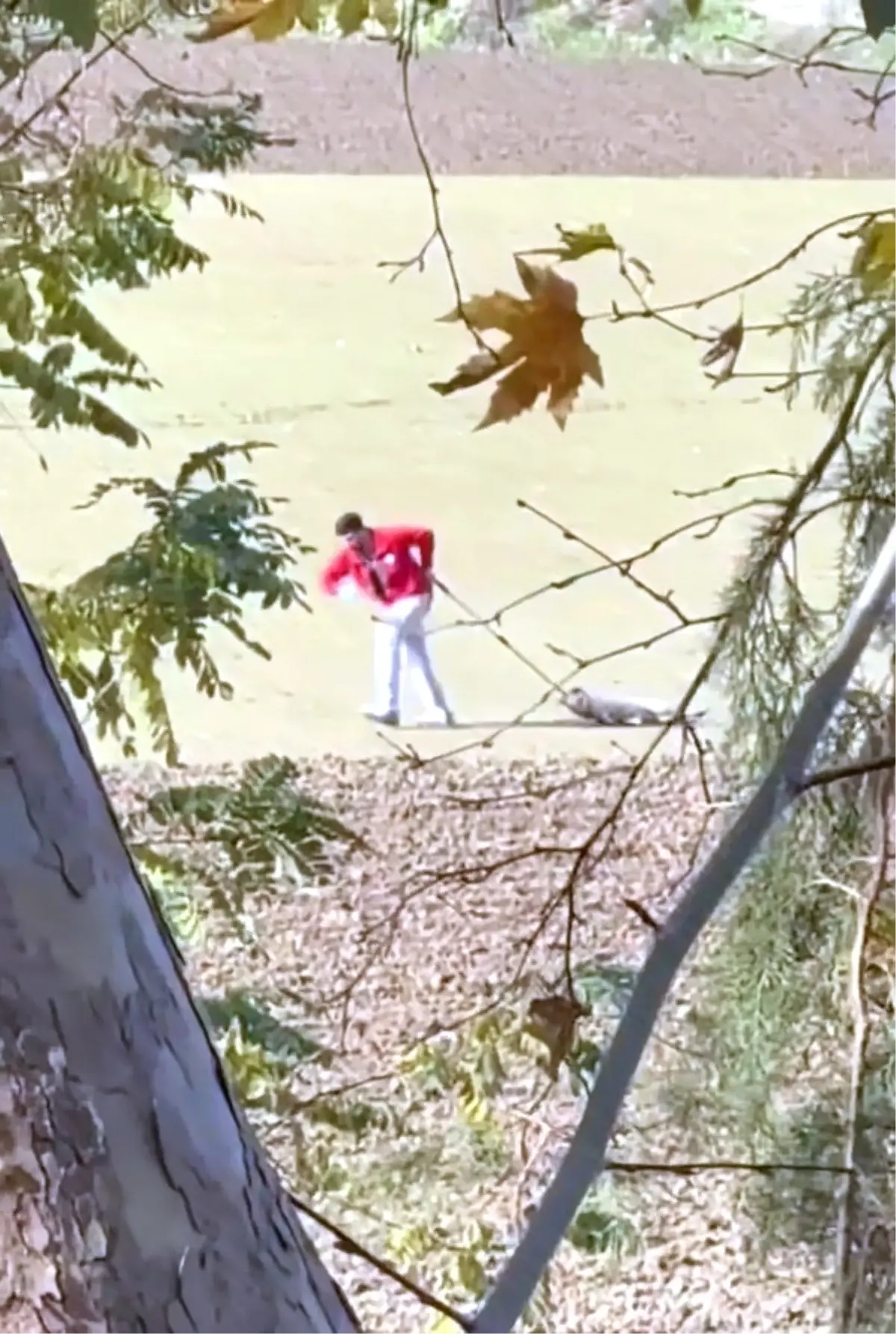 Edirne’de Köpek Sürükleme Skandalı