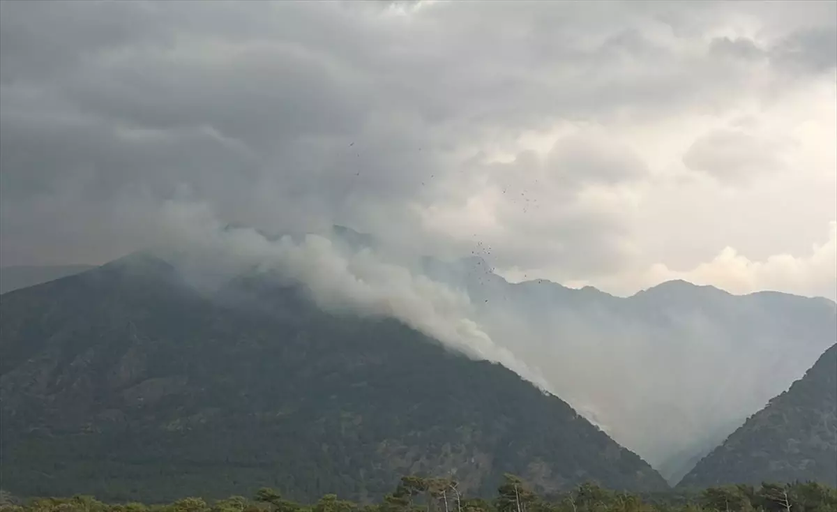Hatay’da Orman Yangınları Kontrol Altında