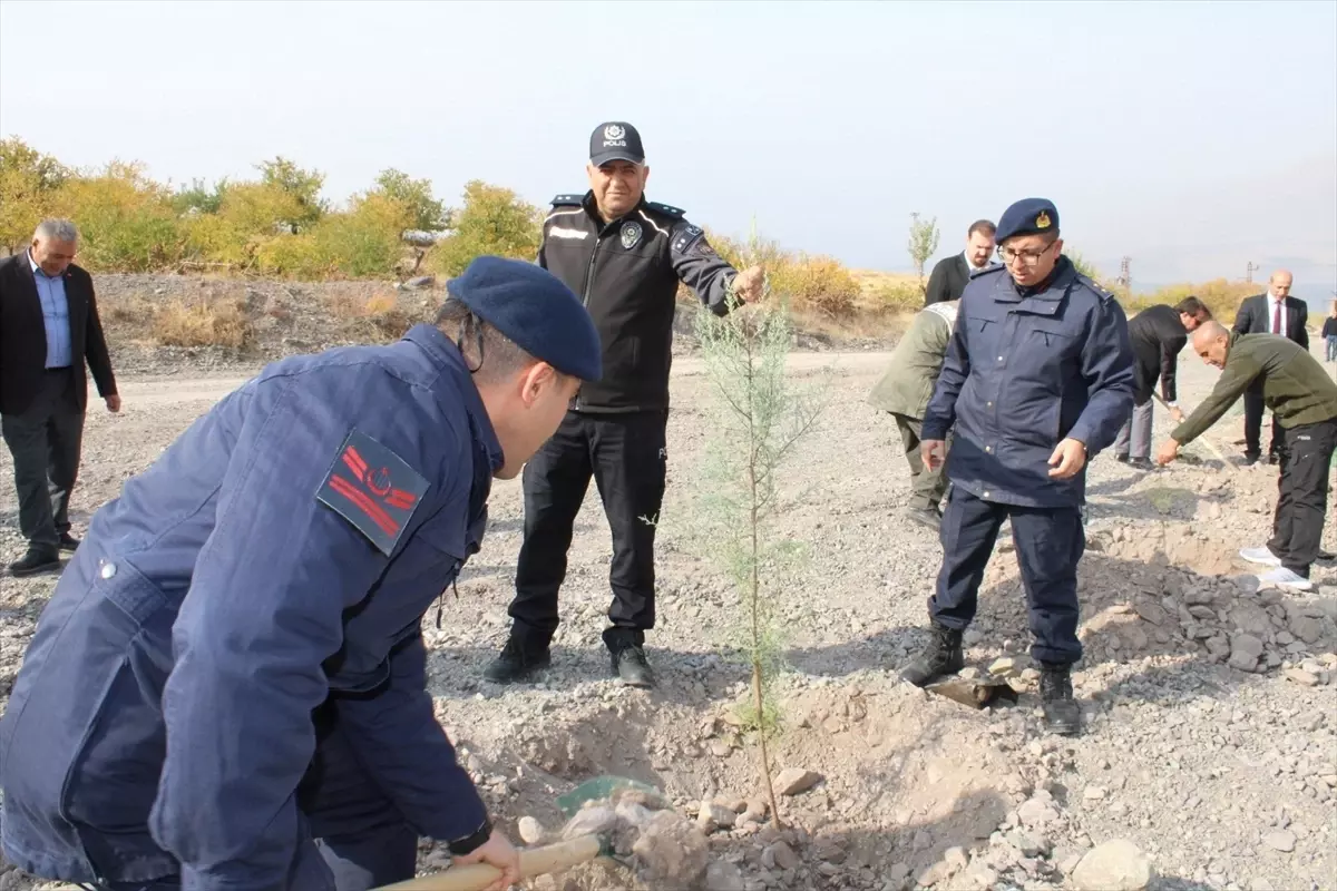 Malatya’da Ağaçlandırma Etkinliği