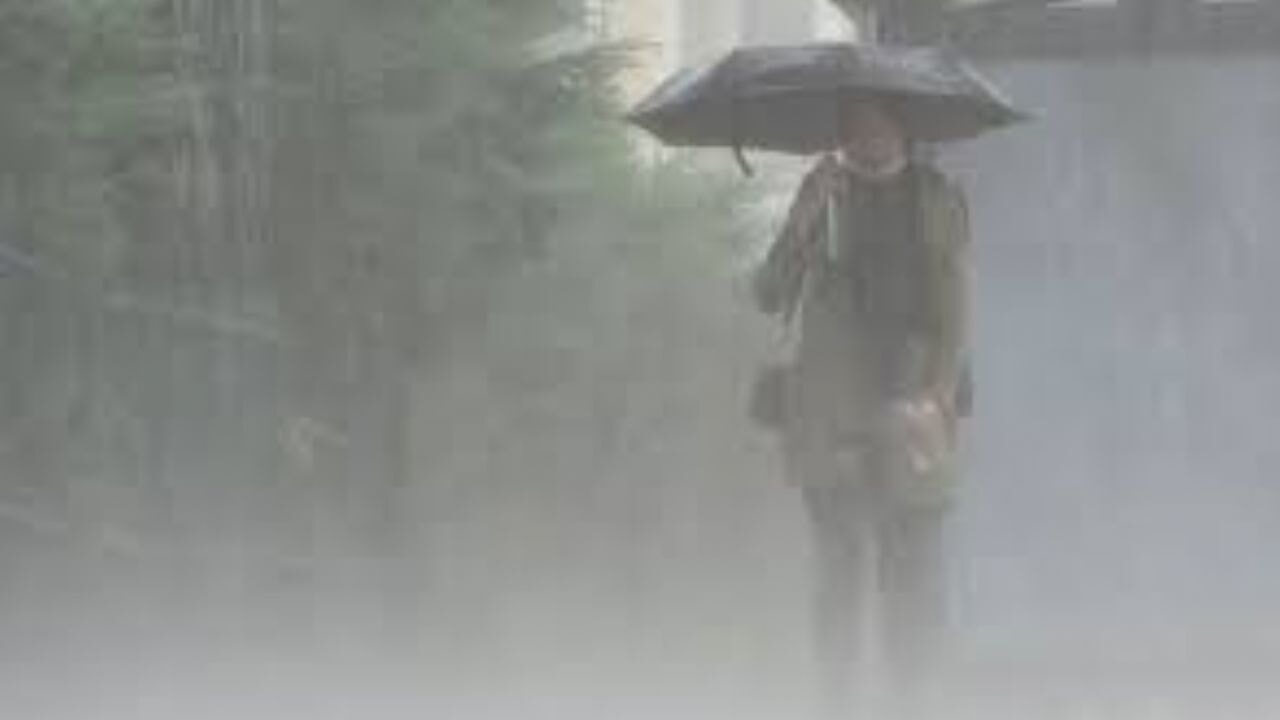 Meteoroloji’den yağış ve sis uyarısı