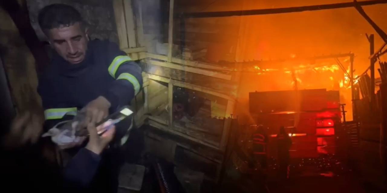 Şanlıurfa’da yangın paniği! İçerideki güvercinleri son anda itfaiye kurtardı