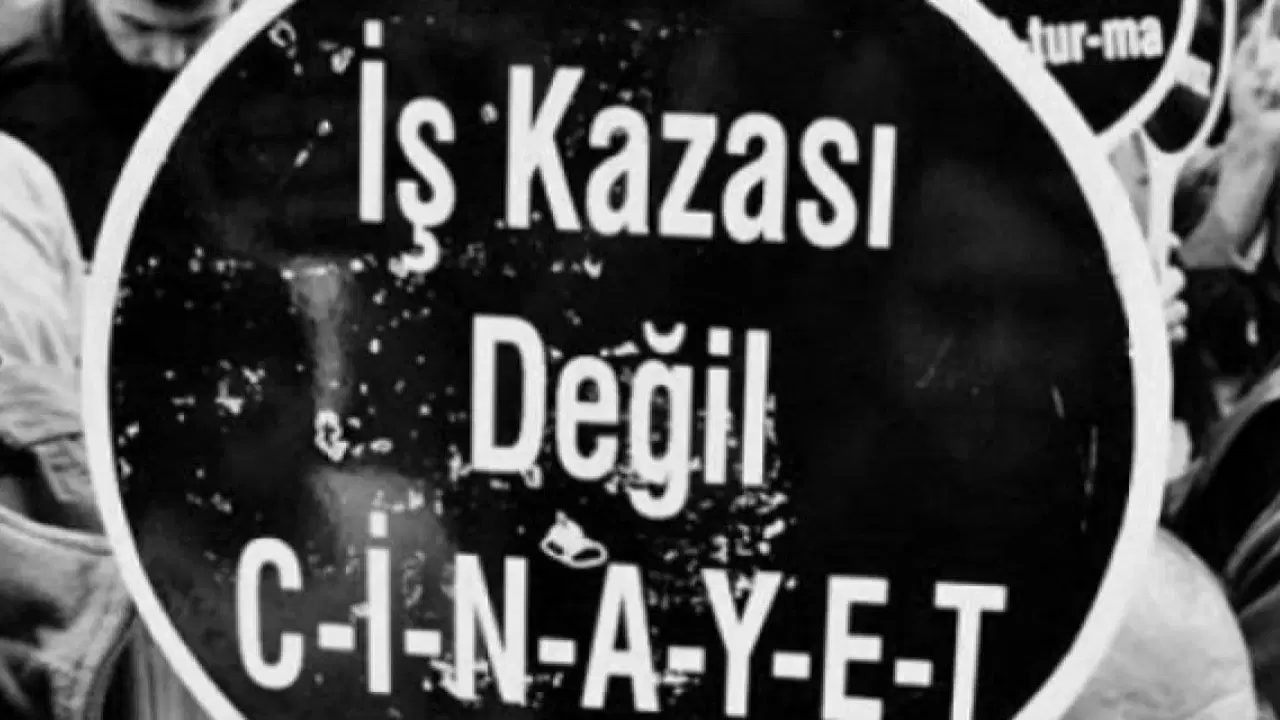 Üzerine ağaç devrilen kesim işçisi öldü