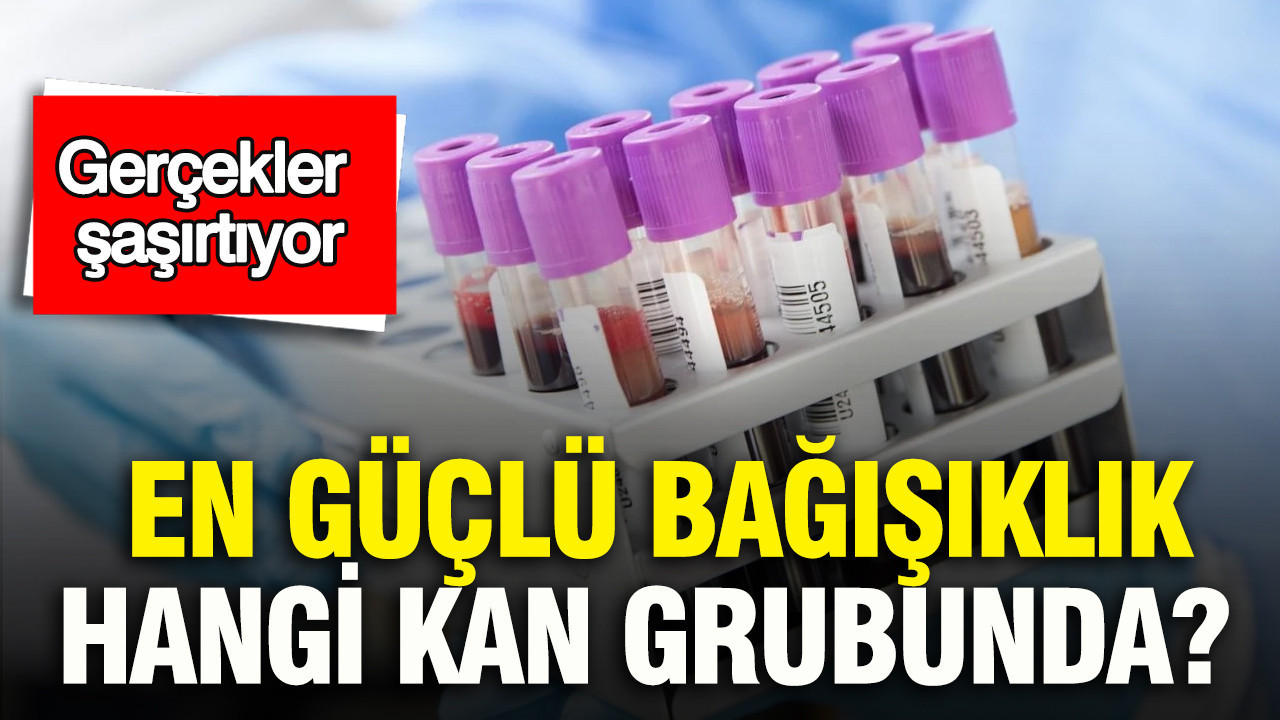 Hangi Kan Grubu Daha Güçlü Bağışıklığa Sahip? Bilimsel Gerçekler Ortaya Çıkıyor