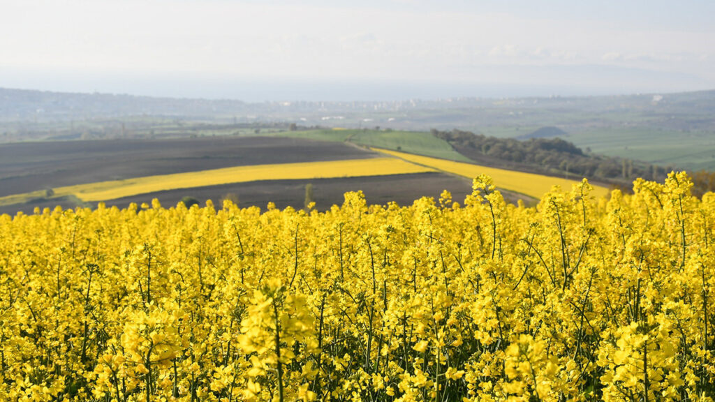 verimli-bolgede-tarimda-yeni-donem-9XUrS4cZ