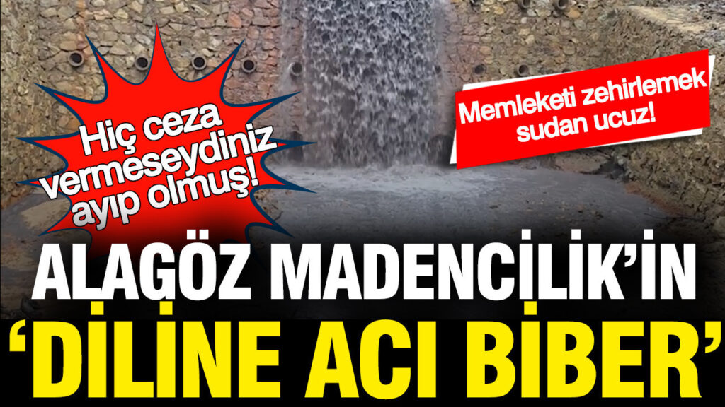Alagöz Madencilik’e Cezalar Yağdı: Çevre İhlalleri ve Ceza Süreci