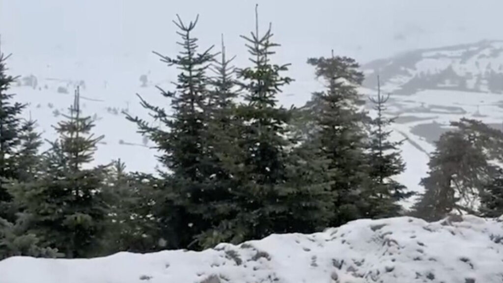 Mayıs Ayında Kar Yağışı: Düzce ve Bolu Zirvelerinde Beyazlık Hakim