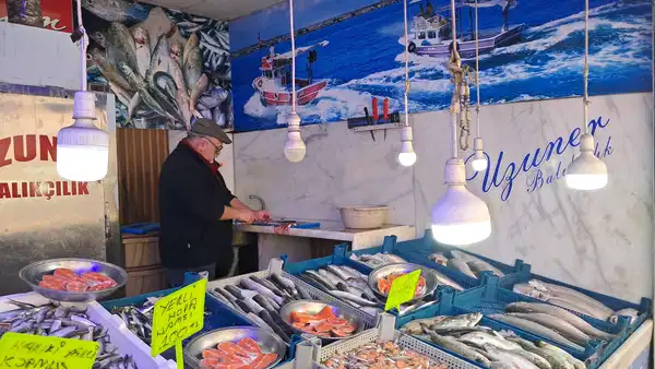 Balık Tezgahlarında Çeşitlilik Azaldı, Fiyatlar Yükseldi: Mezgit 500 Lira!