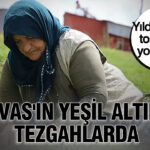 Sivasin yesil altini tezgahlarda yilda bir kez toplaniyor yok satiyor u2kUwNZ2